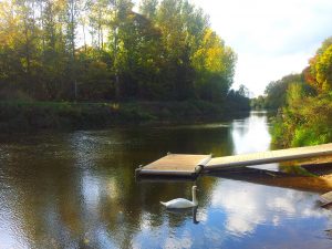 Anleger der Bockholter Emsfähre