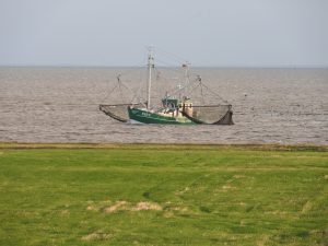 Krabbenfischer vor Fedderwardersiel