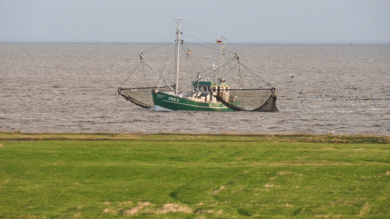 Krabbenfischer vor Fedderwardersiel