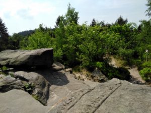 Auf dem Lippischen Velmerstot