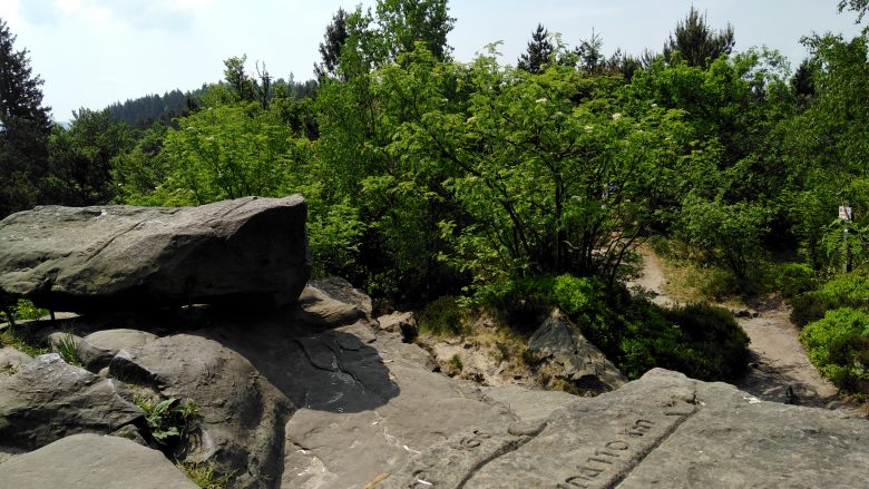 Auf der Lippischen Velmerstot